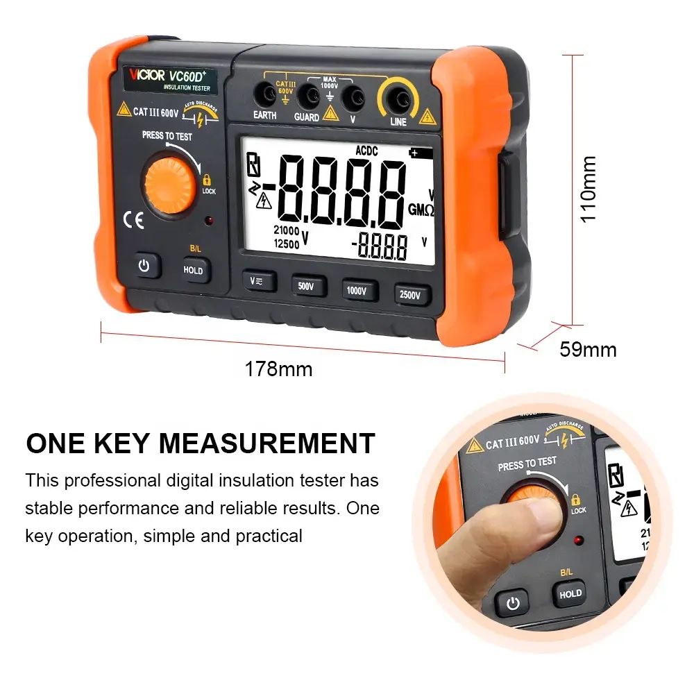 Máy đo điện trở cách điện VICTOR VC60D+ 05