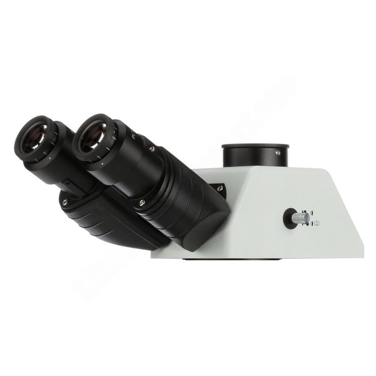 Đầu quan sát ba mắt ACCU-SCOPE 400-3158-F